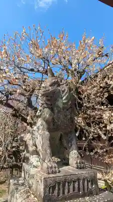 北野天満宮(京都府)