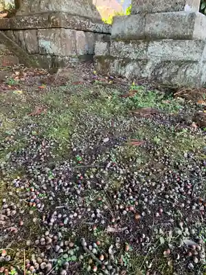 五龍地神社(福島県)