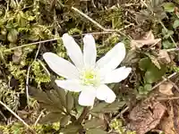 伊豆山神社 本宮(秋田県)