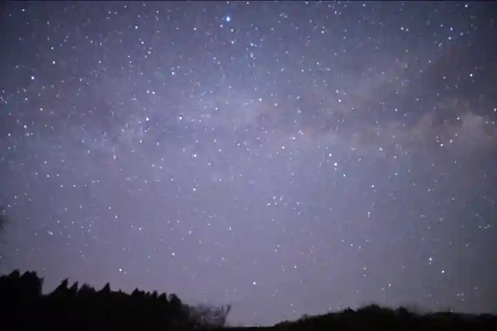 高龍神社(新潟県)