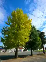 美幌神社(北海道)