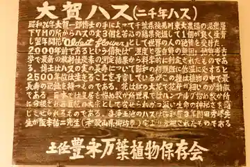 定福寺(高知県)