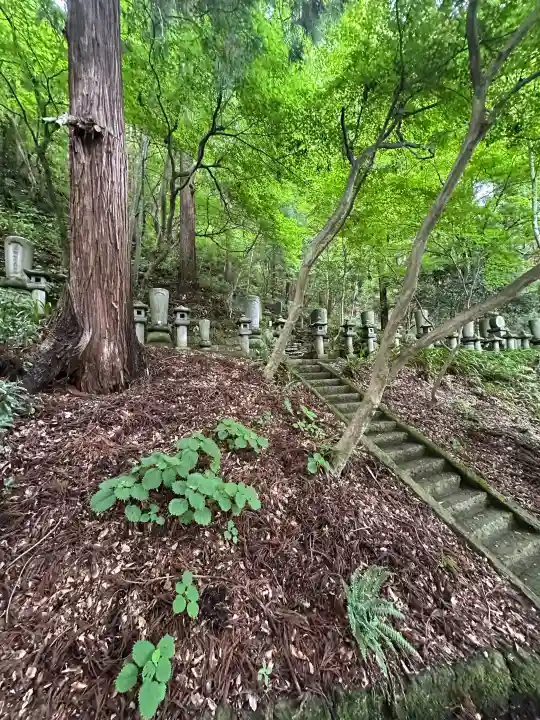 宝珠山 立石寺(山形県)