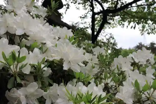 鹿島大神宮の庭園