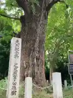 芝東照宮(東京都)