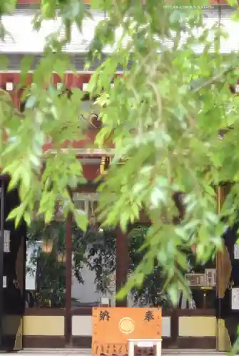 秋葉神社(東京都)