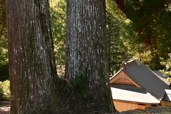 河内白王神社(高知県)