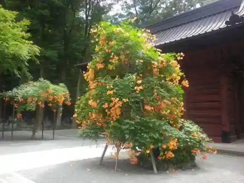 妙本寺の庭園