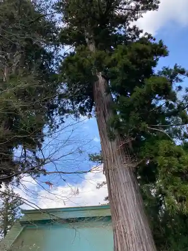 雲八幡宮の自然