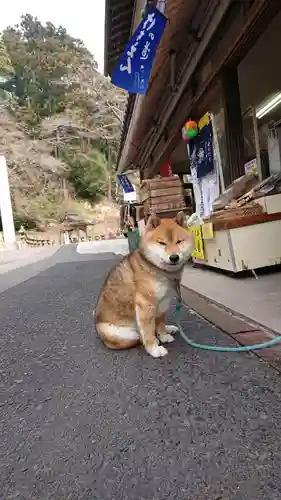 一畑薬師の動物