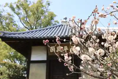 梅林寺(福岡県)