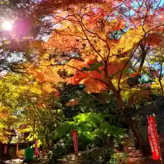 目の霊山　油山寺(静岡県)