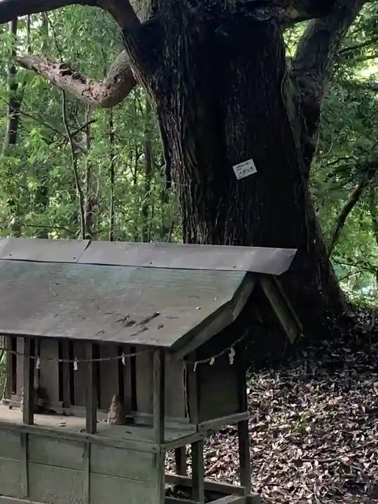 天志良波神社(茨城県)