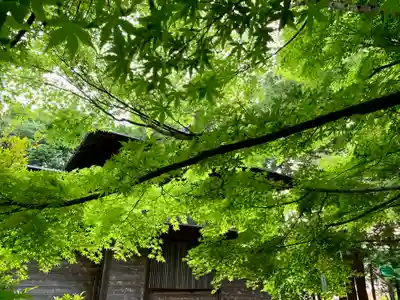 滑川神社 - 仕事と子どもの守り神(福島県)