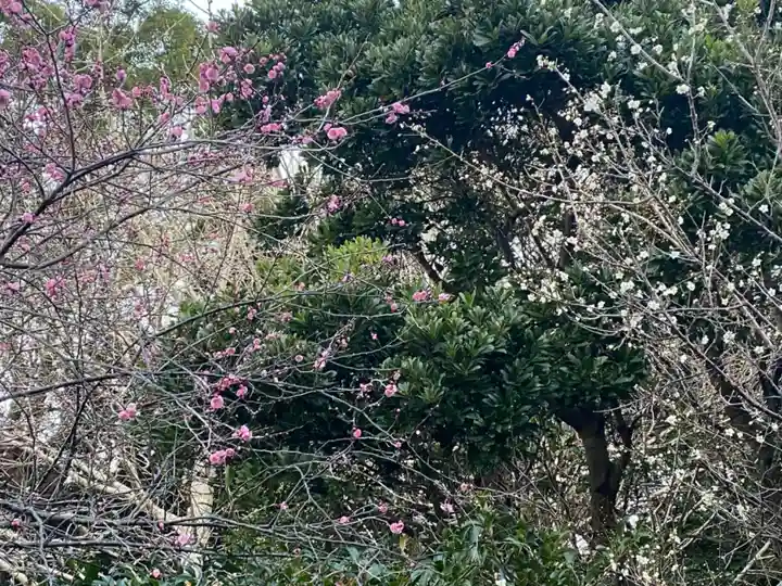 崋山神社(愛知県)