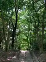 天神山神社(千葉県)