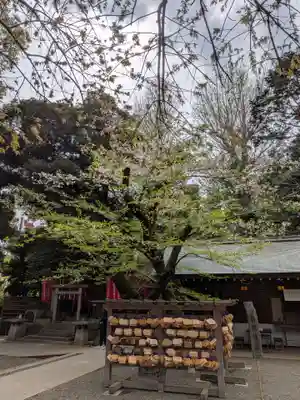 乃木神社(東京都)