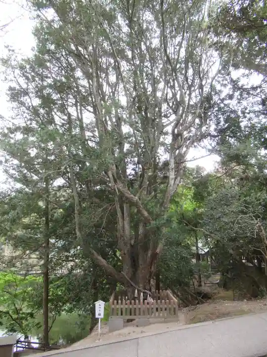 安房神社の自然