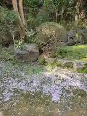 勝持寺（花の寺）(京都府)