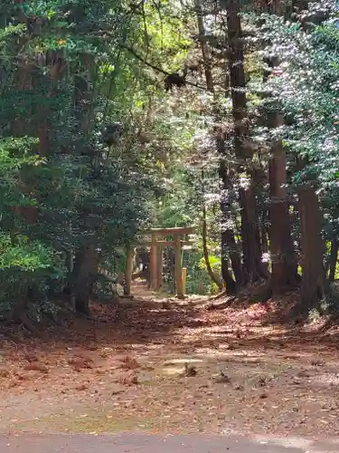 胎安神社の自然