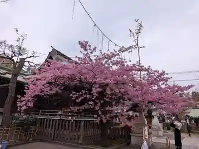 新宿下落合氷川神社(東京都)