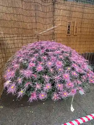 湯島天満宮(東京都)