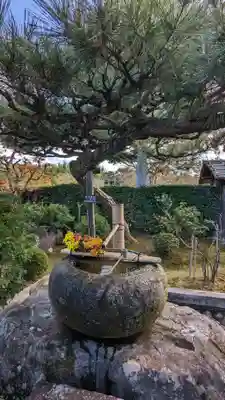 正法寺(京都府)