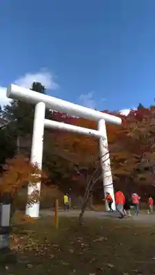 土津神社|こどもと出世の神さまの鳥居