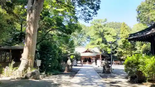 前鳥神社(神奈川県)