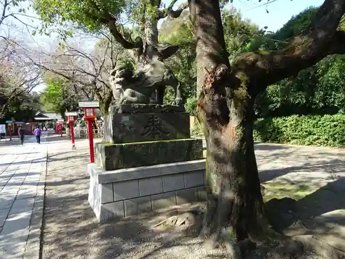 鷲宮神社の狛犬