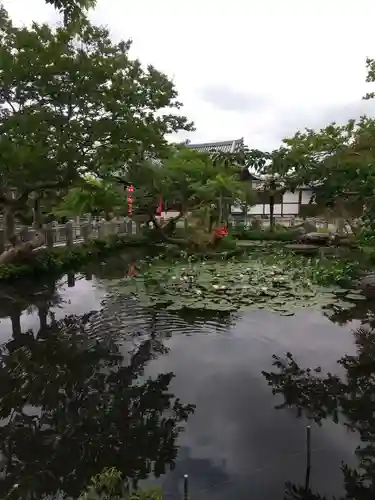 圓照寺(埼玉県)