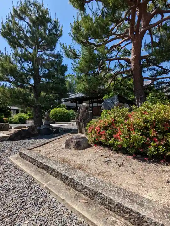 大善寺(京都府)