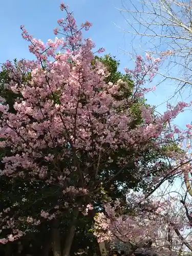 牛嶋神社の自然