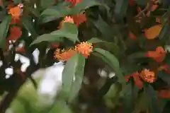 開成山大神宮の自然