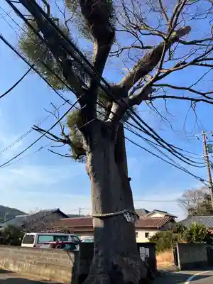 相模国総社六所神社(神奈川県)
