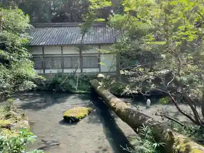 法然院(京都府)