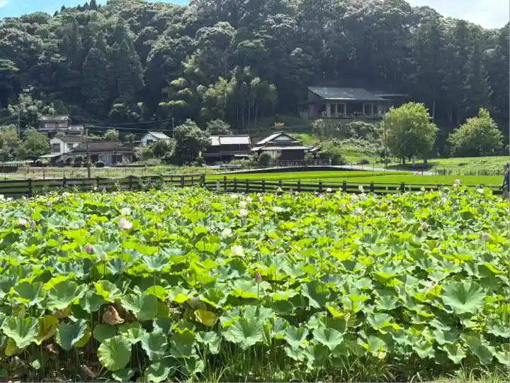 臼杵石仏(大分県)