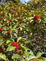 鷲神社(茨城県)
