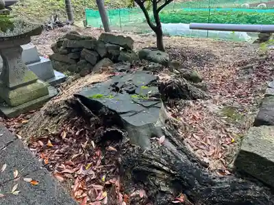 佐彌乃兵主神社(鳥取県)
