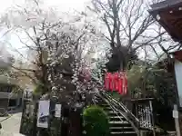 弘明寺の御朱印