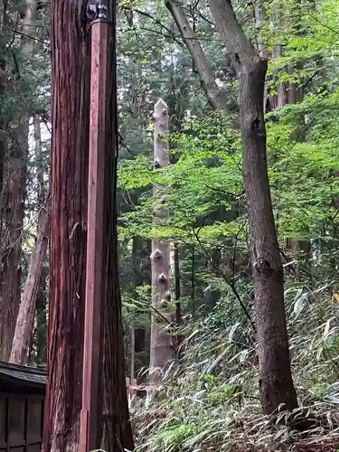 諏訪大社下社春宮の自然