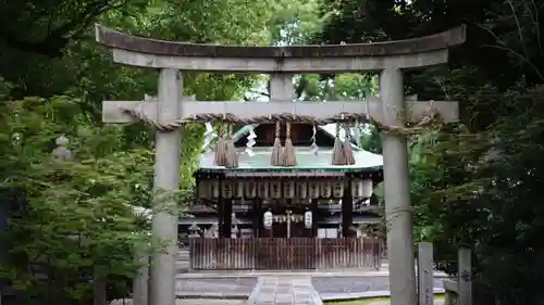 田中神社(京都府)