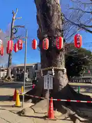 東八幡神社(埼玉県)