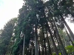 大宮温泉神社の自然(2023年09月13日(水) 21時17分08秒投稿)