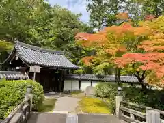 西芳寺(京都府)