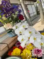 春日神社(徳島県)
