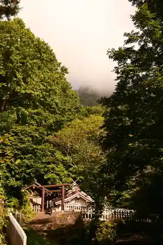 戸隠神社奥社(長野県)
