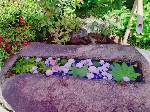 一乗寺(東京都)