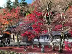 永源寺の自然