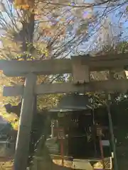 春日神社の鳥居